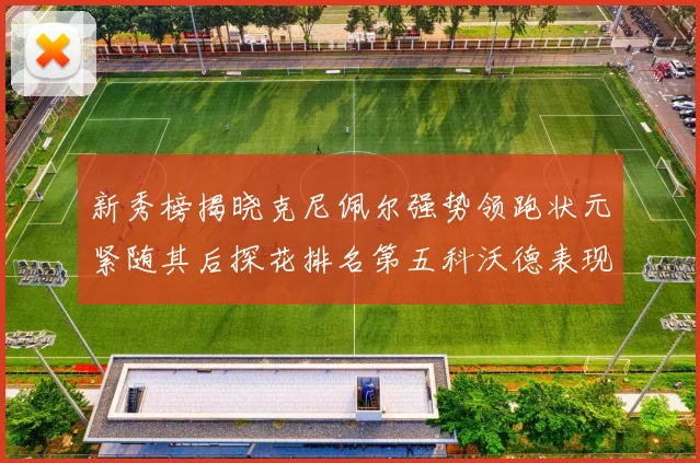 新秀榜揭晓克尼佩尔强势领跑状元紧随其后探花排名第五科沃德表现抢眼位列第三